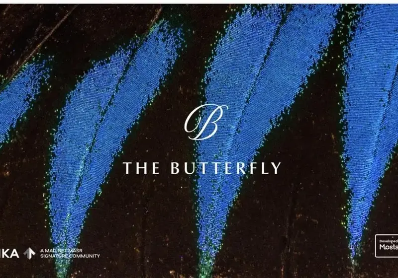 Photo 2 of The Butterfly